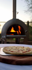 Wood-fired pizza being prepared in an outdoor oven with a scenic background.