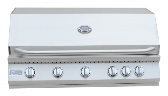 Stainless steel grill with control knobs on a white background