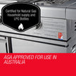 NNEMB 8 Burner BBQ Outdoor Barbeque Gas Stainless Steel Kitchen-2