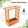 Raised Garden Bed with Trellis or Climbing Plant and Pot Hanging-Natural-4