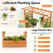 Raised Garden Bed with Trellis or Climbing Plant and Pot Hanging-Natural-2
